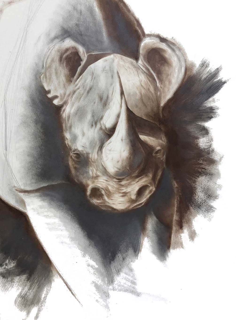 dessin de rhino