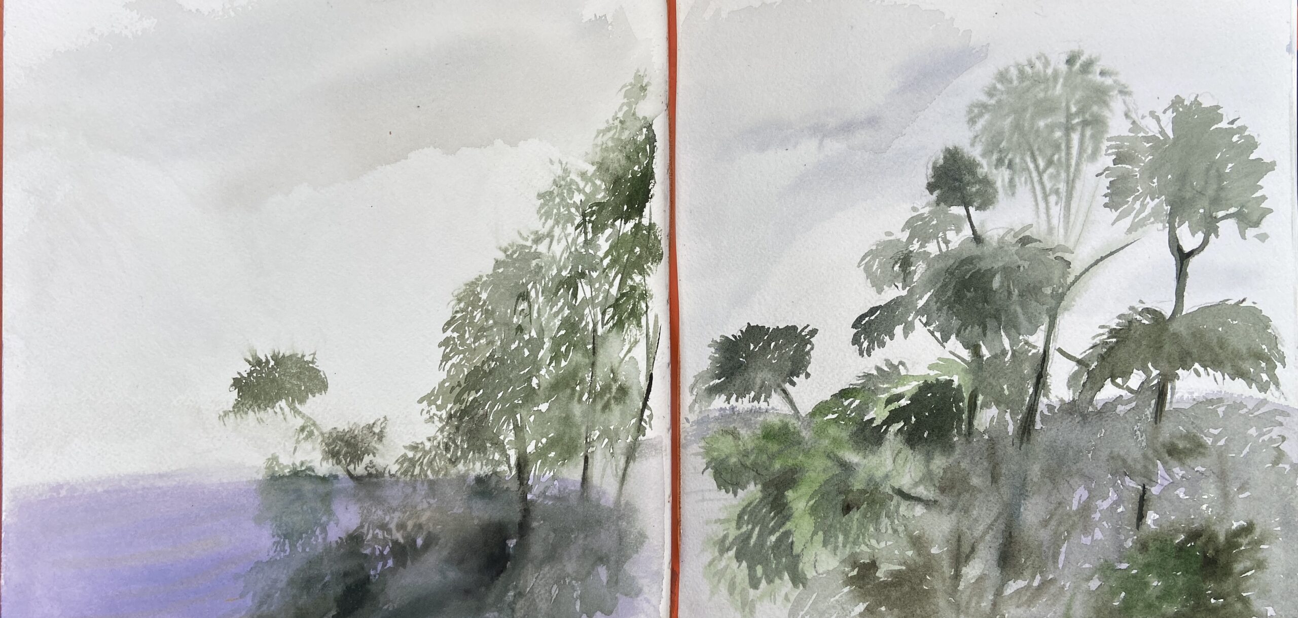 aquarelle de paysage foret equatoriale