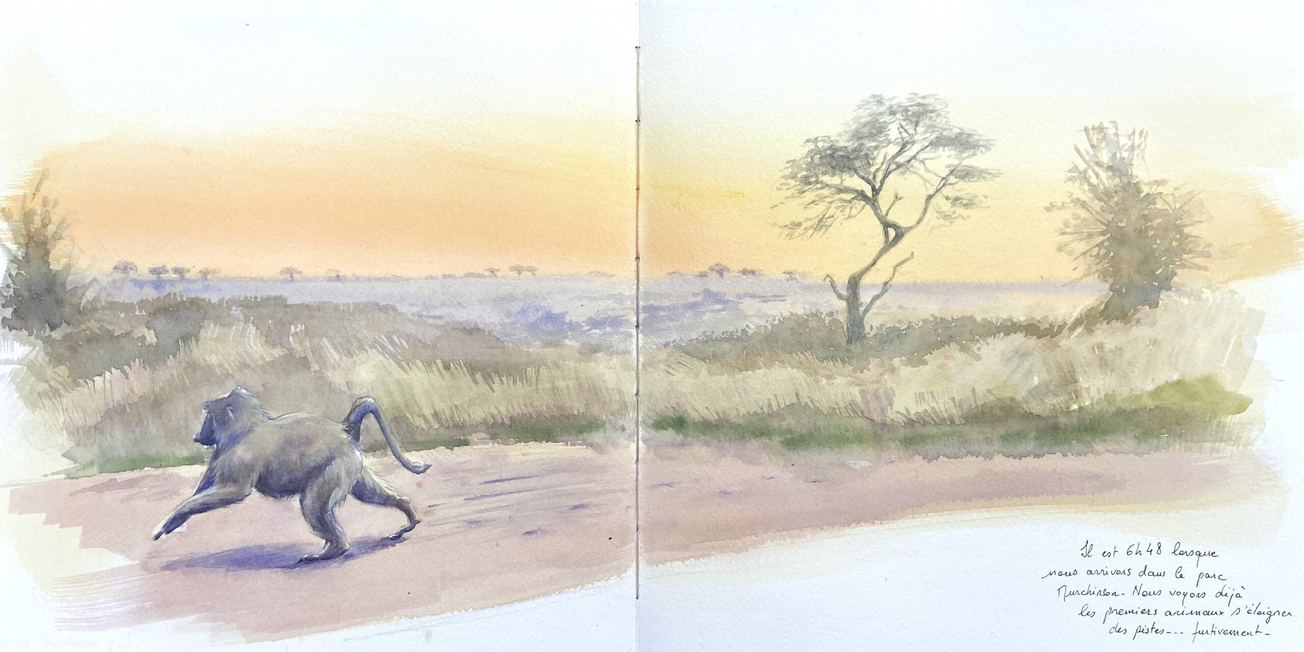 Aquarelle parc Murchinson Uganda
